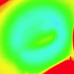 Meet your Posher, Nathan